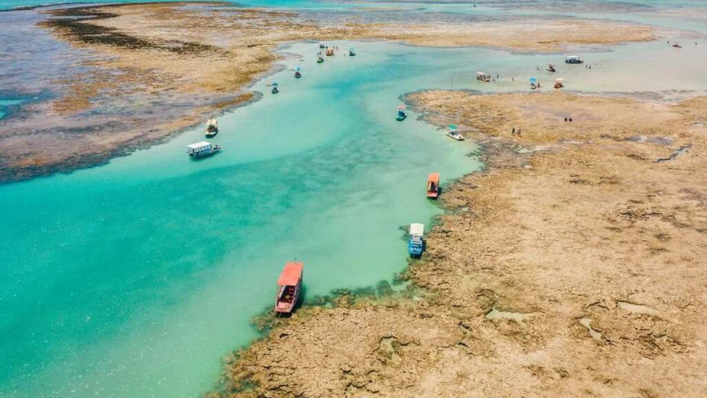 Descubra as Quatro Praias Mais Limpas do Brasil: Três em Ilhas e uma no Sudeste