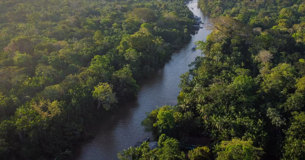 PSOL e Articulação Indígena Processam STF por Lei de Licenciamento Ambiental