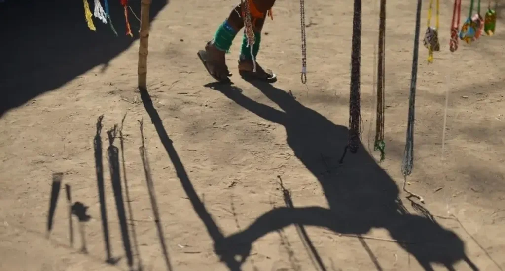 Justiça Ordena Finalização da Demarcação da Terra Indígena Sururuá em 12 Meses Justiça Ordena Finalização da Demarcação da Terra Indígena Sururuá em 12 Meses