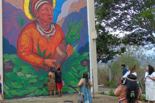 Nega Pataxó: A Luta por Justiça em Meio à Impunidade da Violência Indígena na Bahia Nega Pataxó: A Luta por Justiça em Meio à Impunidade da Violência Indígena na Bahia