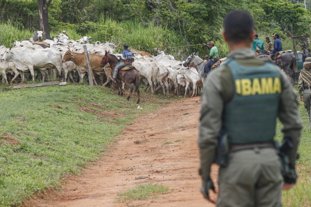 O Legado do Bolsonarismo e suas Consequências nas Terras Indígenas O Legado do Bolsonarismo e suas Consequências nas Terras Indígenas