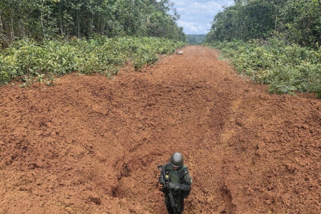 Operação Catrimani II: Ação Militar Derruba Pistas de Pouso Ilegais na Terra Yanomami Operação Catrimani II: Ação Militar Derruba Pistas de Pouso Ilegais na Terra Yanomami