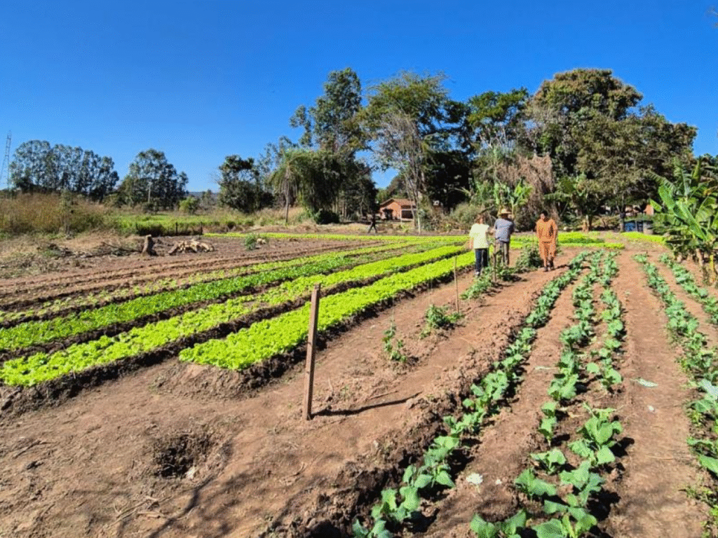 Segurança Alimentar e Identidade: Saberes Terena Fortalecem Práticas Culturais em Miranda Segurança Alimentar e Identidade: Saberes Terena Fortalecem Práticas Culturais em Miranda