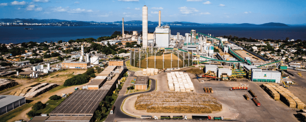 Cimi Regional Sul Denuncia Violação de Direitos Indígenas em Expansão da CMPC Cimi Regional Sul Denuncia Violação de Direitos Indígenas em Expansão da CMPC