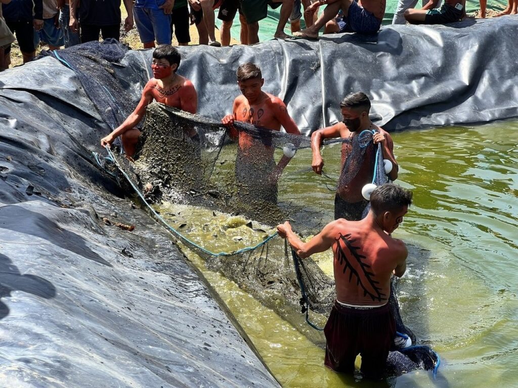 Descubra as principais notícias da semana: Peixes em tanques, tragédia com técnica e mais