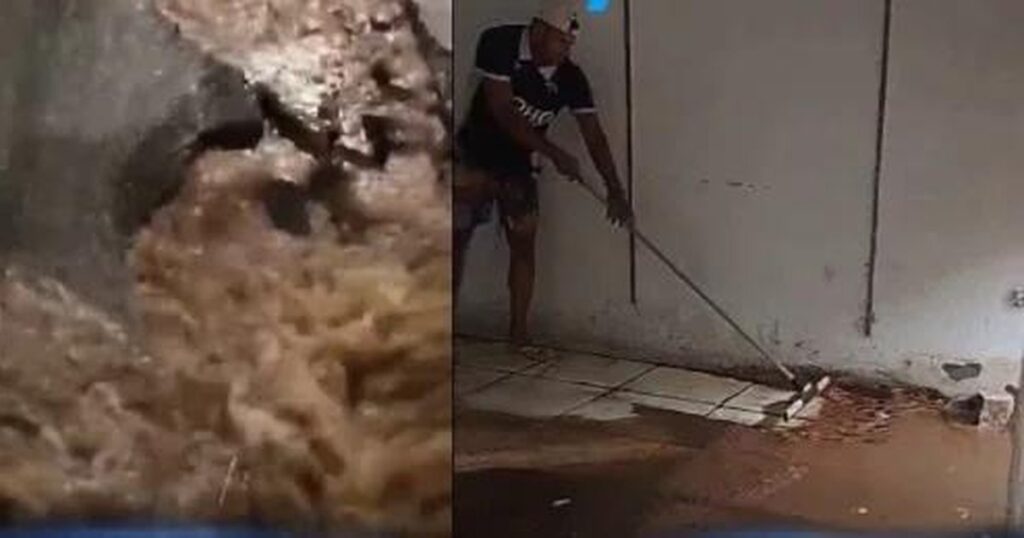 Força-tarefa em Palmeira dos Índios: Ação Urgente para Enfrentar Estragos das Chuvas Força-tarefa em Palmeira dos Índios: Ação Urgente para Enfrentar Estragos das Chuvas