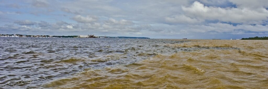 Levante Indígena: A Luta pela Proteção dos Rios no Brasil Levante Indígena: A Luta pela Proteção dos Rios no Brasil