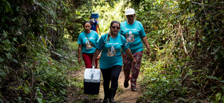 Ministério da Saúde Intensifica Atendimento a Crianças com Suspeita de Coqueluche na Terra Yanomami Ministério da Saúde Intensifica Atendimento a Crianças com Suspeita de Coqueluche na Terra Yanomami